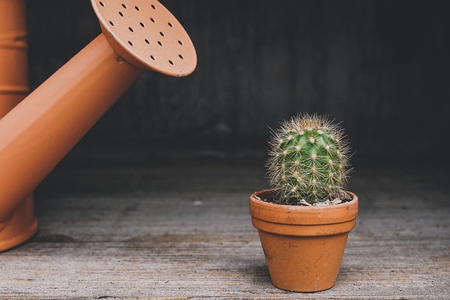 植物の管理